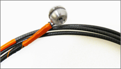 Presto Jazzicato Presto Jazzicato